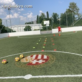 A person in sports attire is on a synthetic grass football field, practicing with cones laid out for drills. Three footballs are placed on the ground. A logo is visible in the center circle of the field, and a basketball hoop stands attached to the goal post. Trees and a partially cloudy sky are in the background.